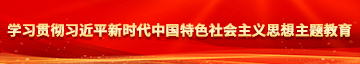 亲亲屄爽视频学习贯彻习近平新时代中国特色社会主义思想主题教育